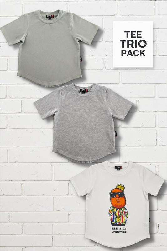 BIG POPPA -  SHORT SLEEVE T-SHIRT- 3 PACK